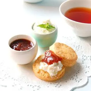 プレーン plain 12p creamtea