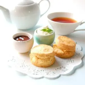 プレーンスコーンセット１２Ｐ スコーンクリーム付き